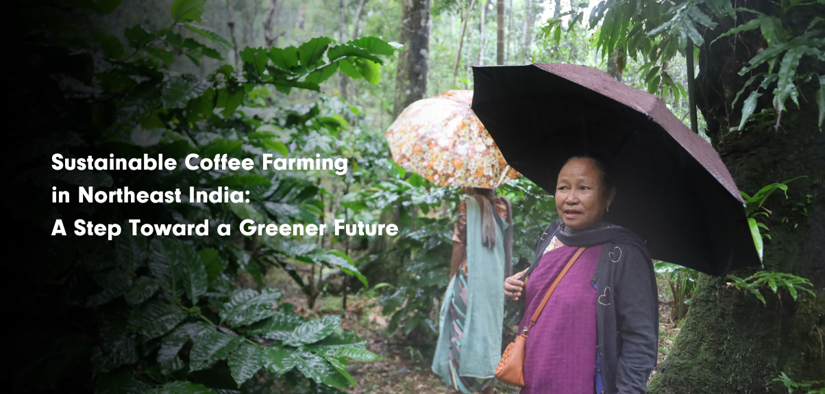 Sustainable Coffee Farming in Northeast India: A Step Toward a Greener Future