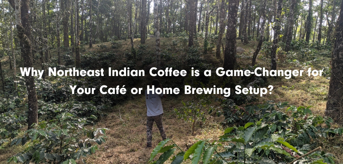 Why Northeast Indian Coffee is a Game-Changer for Your Café or Home Brewing Setup
