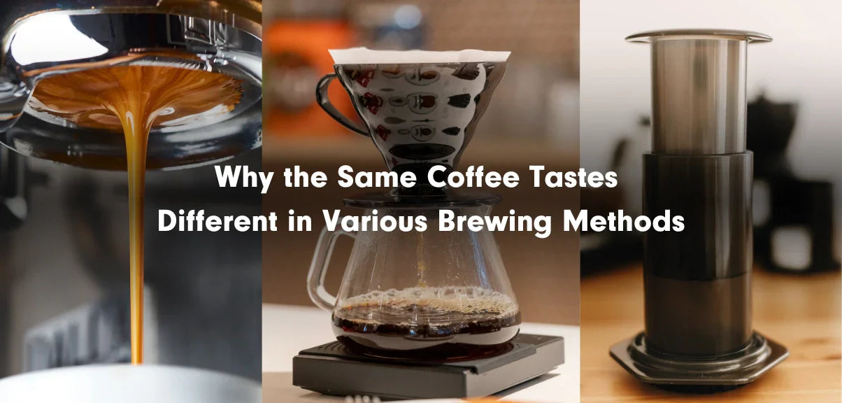 Why the Same Coffee Tastes Different in Various Brewing Methods