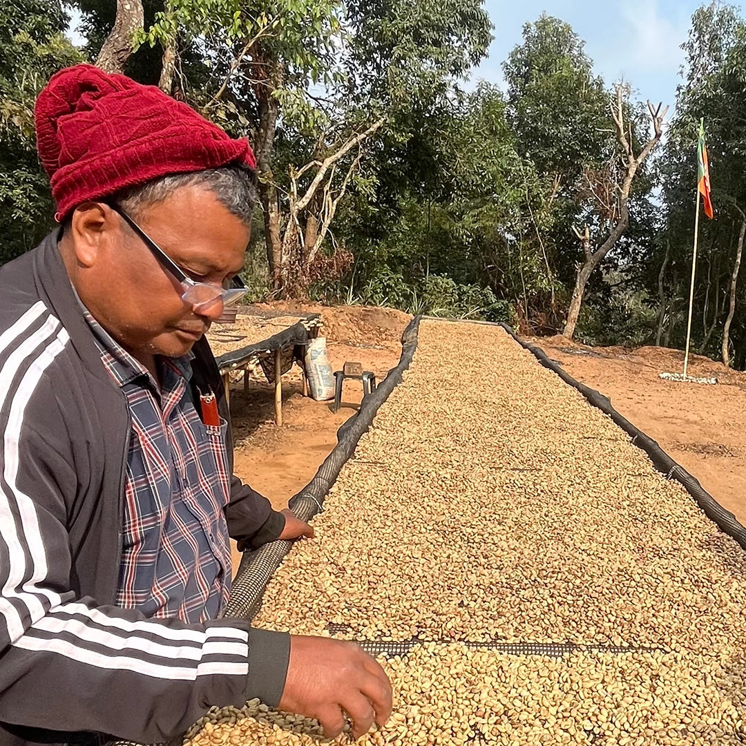 Meghalaya JK Microlot