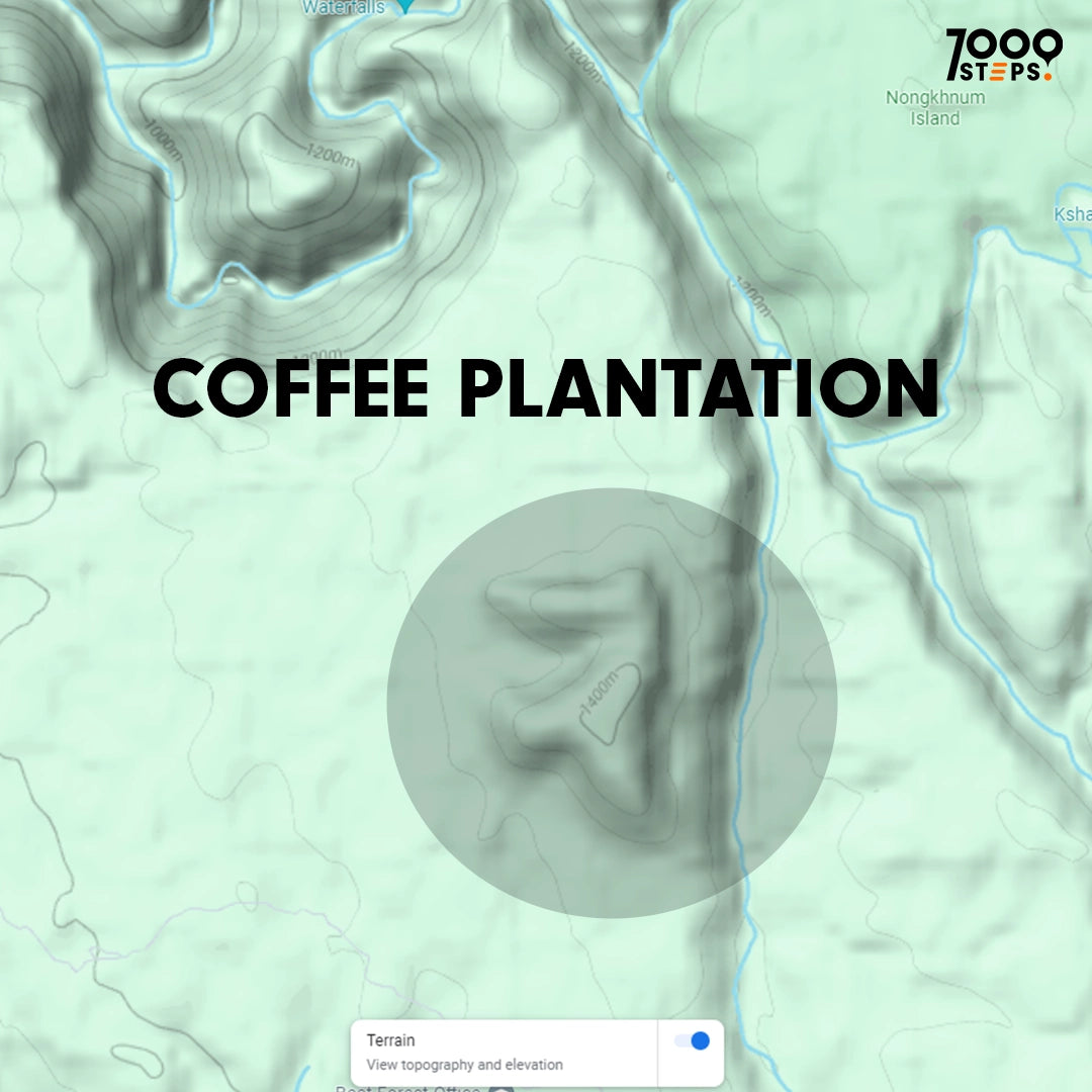 Meghalaya JK Microlot