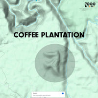 Meghalaya JK Microlot