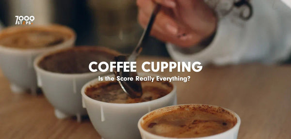 Coffee Cupping: Is the Score Really Everything?