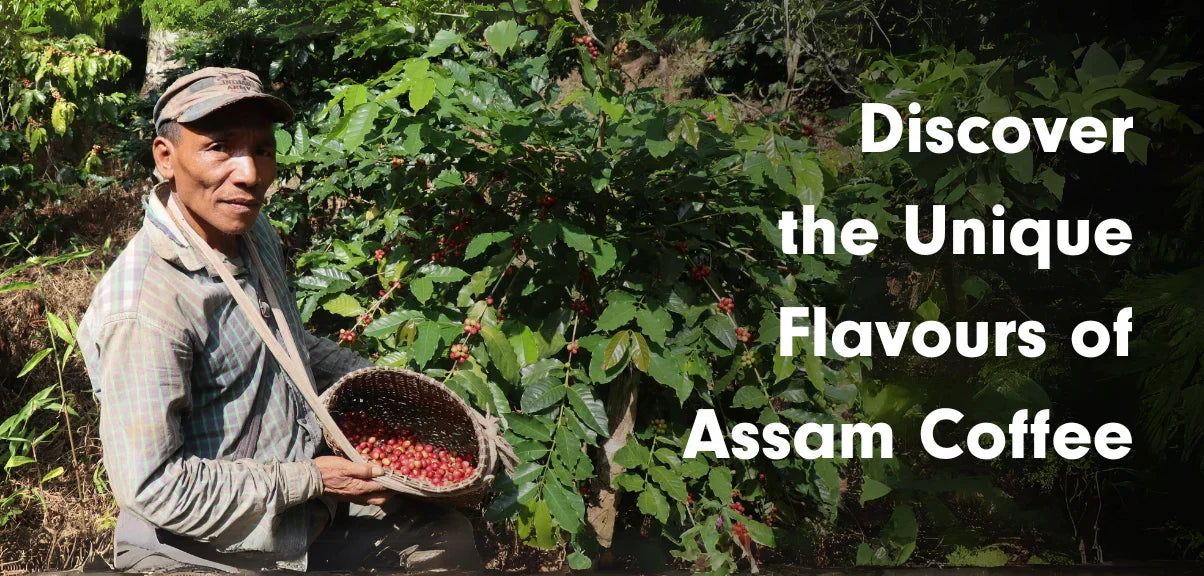 Discover the Unique Flavors of Assam Coffee