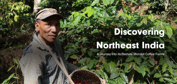Discovering Northeast India: A Journey into its Remote Microlot Coffee Farms