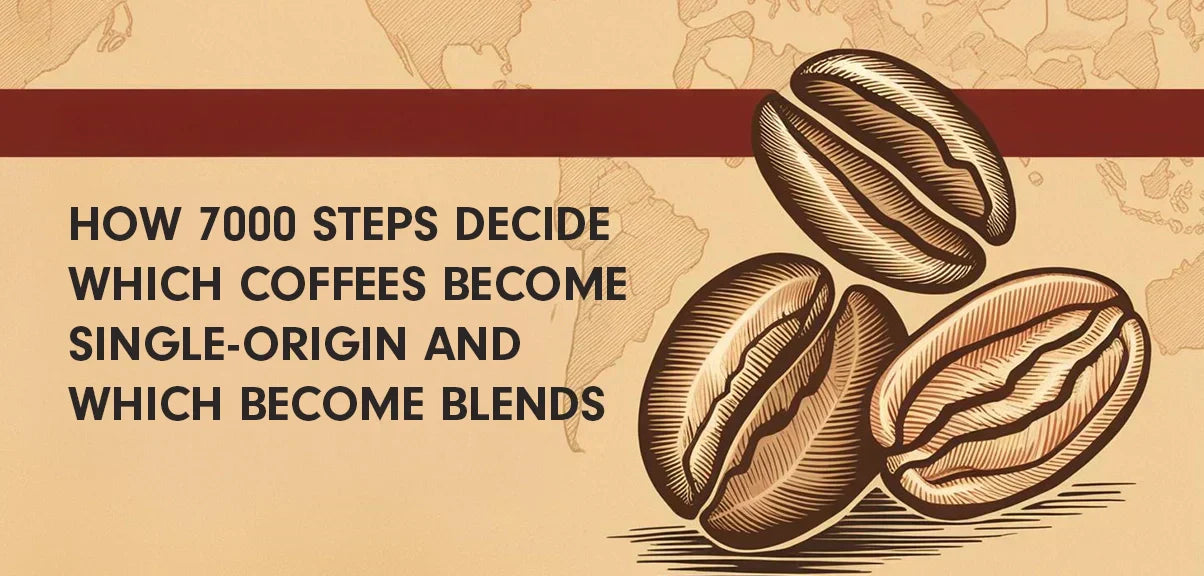 How 7000 steps decide Which Coffees Become Single-Origin and Which Become Blends