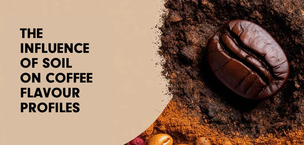 The Influence of Soil on Coffee Flavour Profiles