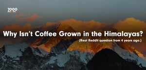 Why Isn’t Coffee Grown in the Himalayas?