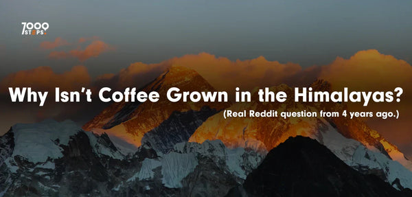Why Isn’t Coffee Grown in the Himalayas?