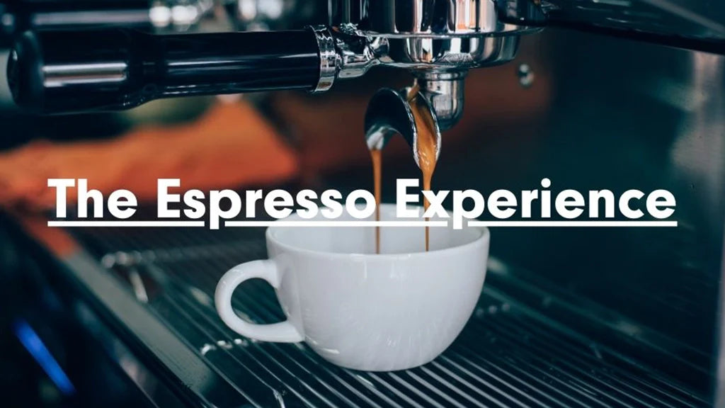 The Espresso Experience: An In-Depth Exploration of Espresso Methods