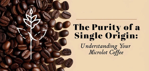 The Purity of a Single Origin: Understanding Your Microlot Coffee
