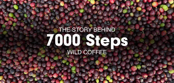 The Story Behind 7000 Steps's Wild Coffee