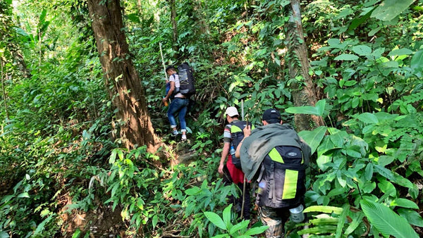 High Quality Coffee from High Altitudes of Meghalaya