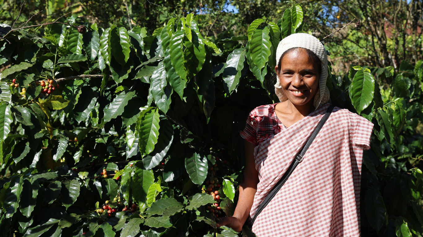 Producing The World's Finest Coffee From Meghalaya - Myth Or Dream