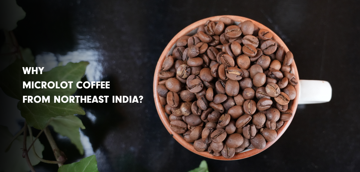 Why Microlot Coffee from Northeast India Stands Out – 7000steps