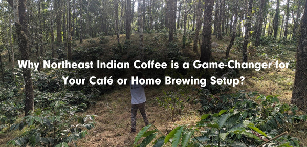 Why Northeast Indian Coffee is a Game-Changer for Your Café or Home Brewing Setup