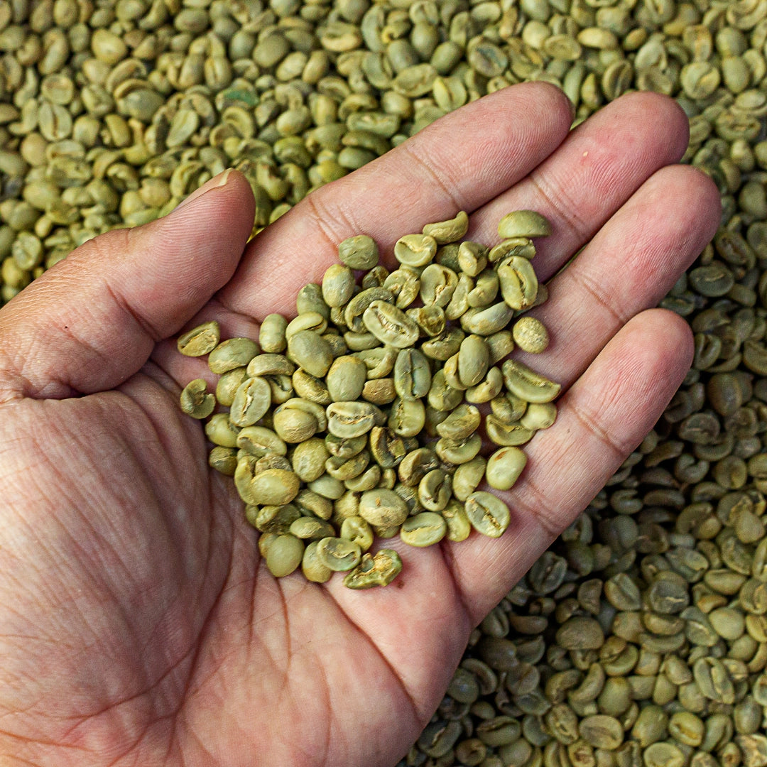 Nagaland Arabica Green Beans 1Kg