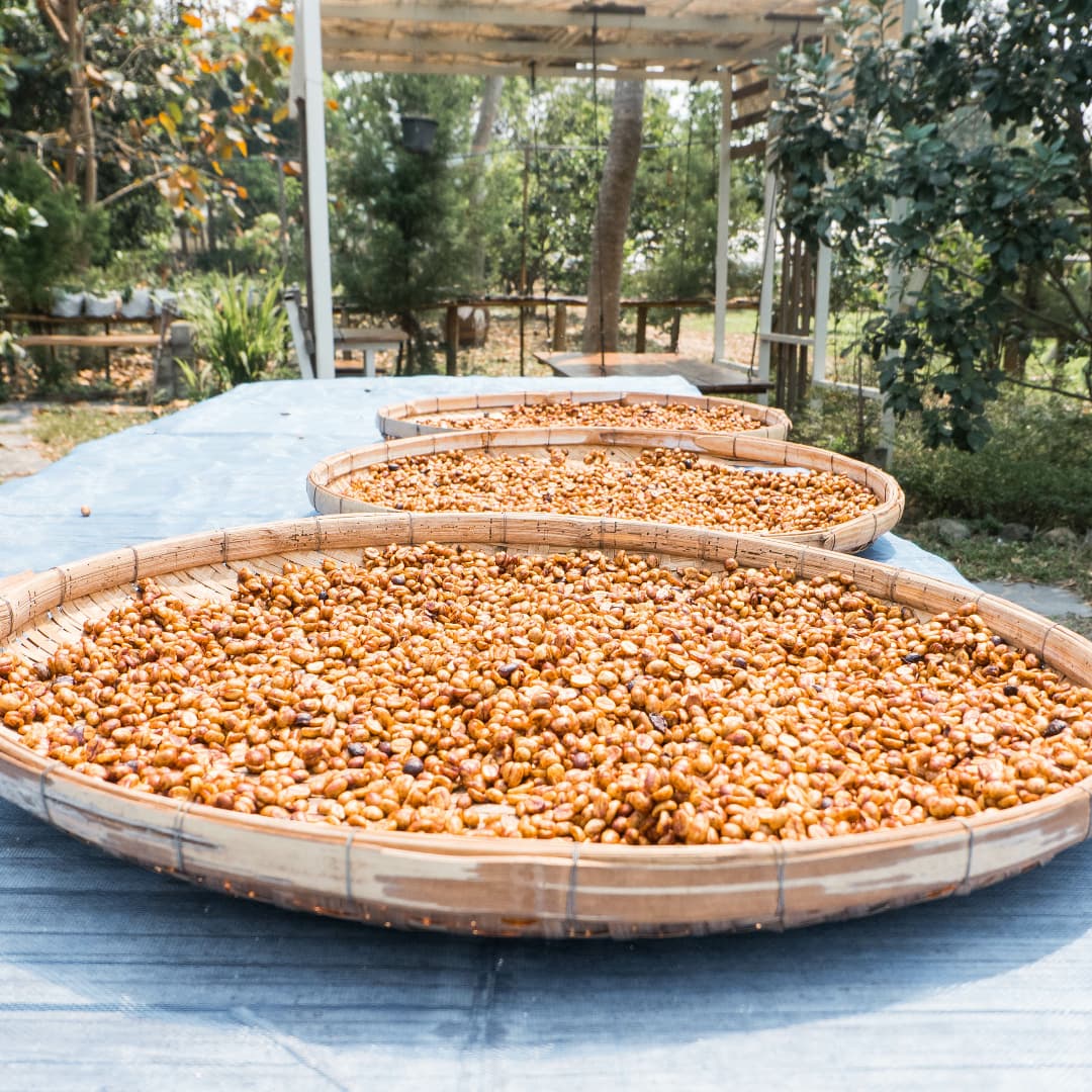 Naga Honey Processed Coffee