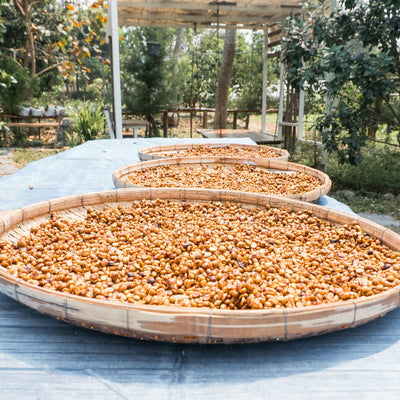 Naga Honey Processed Coffee