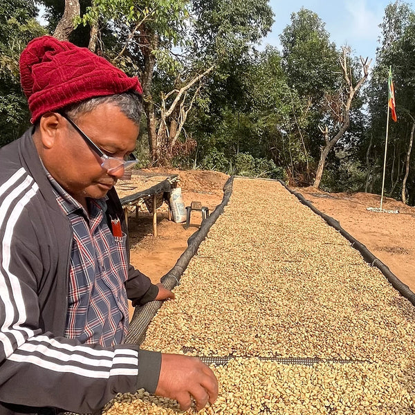 Meghalaya JK Microlot