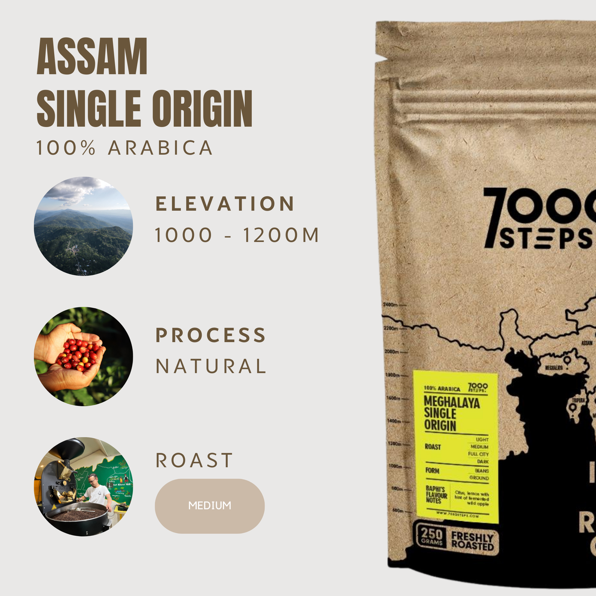 Single Origin Arabica - Meghalaya 250g