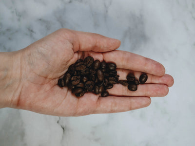 Northeast Wild Robusta